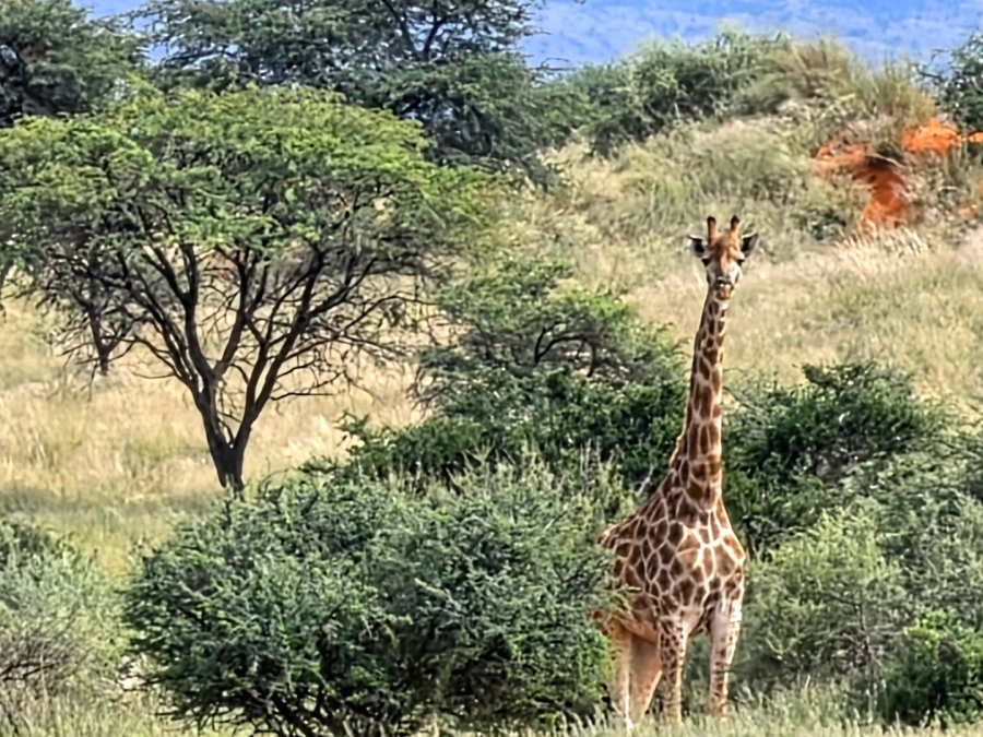 Commercial Property for Sale in Griekwastad Rural Northern Cape